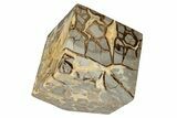 Wide, Polished Septarian Cube - Utah #207811-1